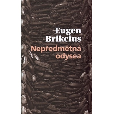 Nepředmětná Odyssea - Eugen Brikcius