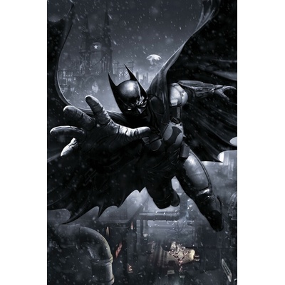 Plagát, Obraz - Batman - Arkham Origins, 26.7 × 40 cm