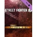 Street Fighter 6 - Year 1 Ultimate Pass
