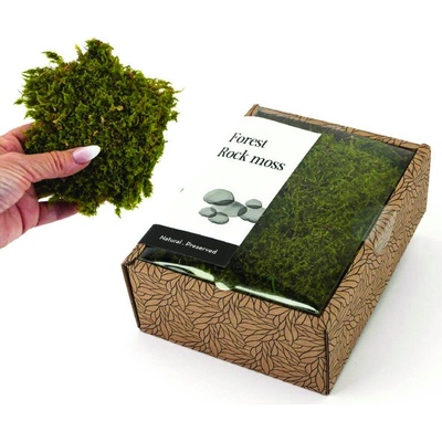 KreaBox - Skalný mach - Rock moss