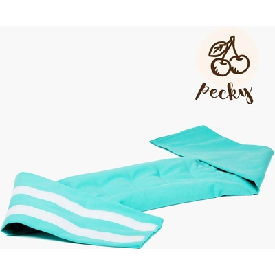 Pecičky Nahřívací polštářek ProFysio pás třešňové pecky