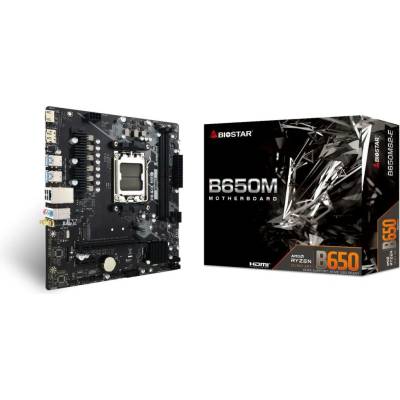 Biostar B650MS2-E