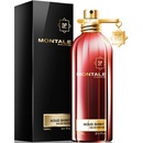 Montale Aoud Shiny parfémovaná voda unisex 100 ml