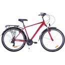 Fuzlu Core AMT 2022