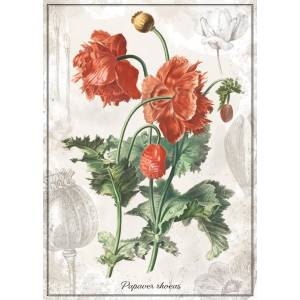 Interdruk - Puzzle Botanic Poppy - 1 000 piese