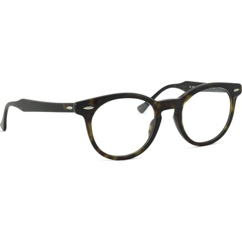 Ray-Ban Eagleeye 0RX5598 2012 49