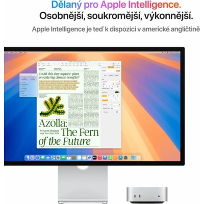 Apple Mac mini M4 MU9D3CZ/A – Zboží Živě