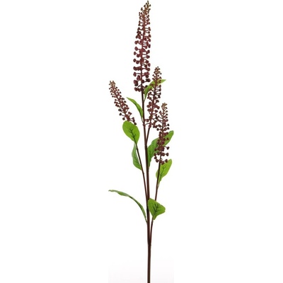 Líčidlo - Phitolacca 'Balou' červené (burgundy) V98 cm