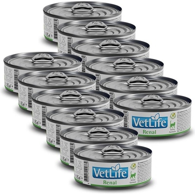 Vet Life Renal 12x85 g