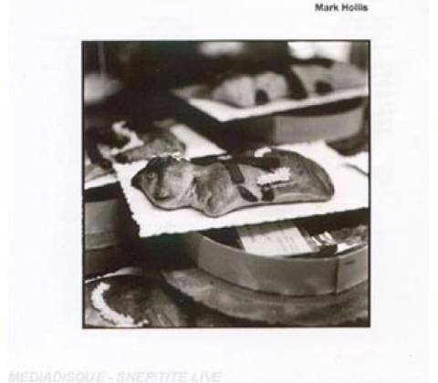 HOLLIS MARK: MARK HOLLIS CD