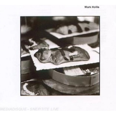 HOLLIS MARK: MARK HOLLIS CD