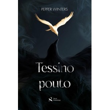 Tessino pouto