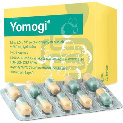 Yomogi cps.dur. 50 x 250 mg