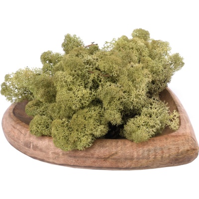 Dekoračný Islandský Mach - Machovo Zelený - 635 g