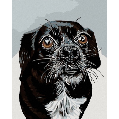 ZUTY Malování podle čísel ČERNOBÍLÝ OŘÍŠEK 80 x 100 cm Rámování bez rámu a bez vypnutí plátna