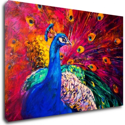 Impresi Obraz Barevný páv - 90 x 60 cm
