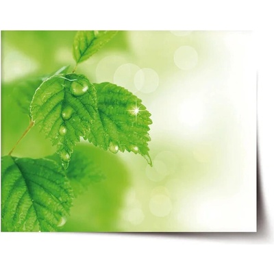 Sablio Plagát Listy 2 - 90x60 cm
