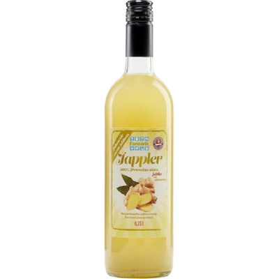 JAPPLER jablko zázvor 0,75 l