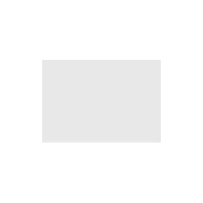 Хартия за илюстрации 35х50см 250г 5