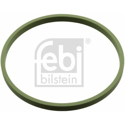Tesniaci krúžok, hrdlo škrtiacej klapky FEBI BILSTEIN 107960