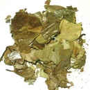 World Herbs Graviola anona list 100 g