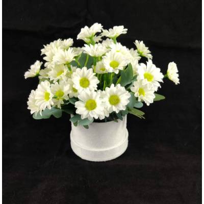 Kyticky.cz Bílý flower box s kyticí chryzantém