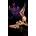 Ballerina's Secret Art. 500 Hold Ups Black S/M