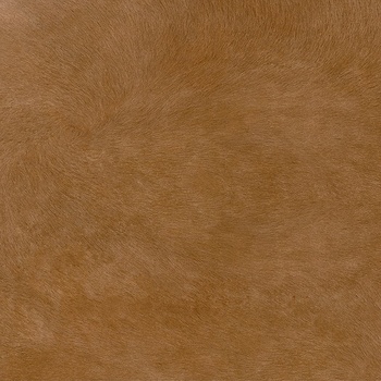 Aqualine ZOO008 1,62m²