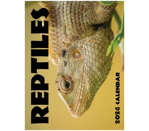Reptiles 2026