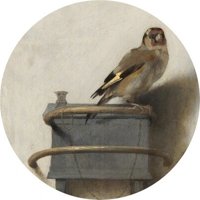 HRBC100031 Fototapeta vliesová Carel Fabritius Stehlík Ø 142,5 cm