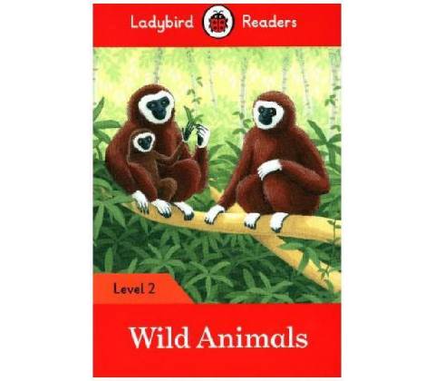 Wild Animals