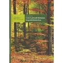 Knihy Cesta k přírodě blízkému hospodářskému lesu Milan Košulič