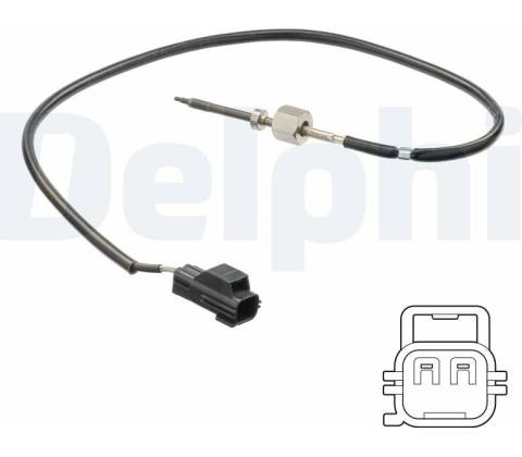 DELPHI TS30206