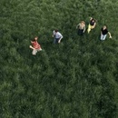 Parcels - Loved CD
