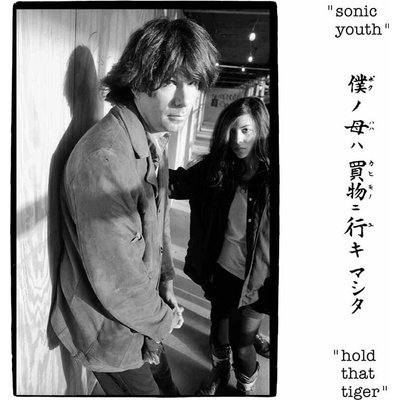 Sonic Youth - HOLD THAT TIGER Vinyl