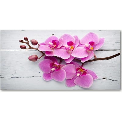 Foto obraz sklenený horizontálny Orchidea a na strome 100x50 cm