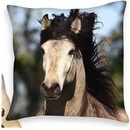 Herding Obojstranný vankúš KONE 40x40