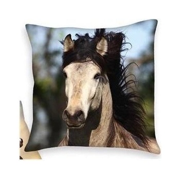 Herding Obojstranný vankúš KONE 40x40