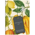 Bodleian Library Botanical Art Notebook Set | . Bodleian Librar