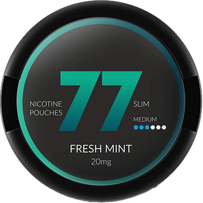 77 Pouches Fresh Mint 10 mg 20 sáčků – Hledejceny.cz