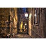DIMEX ART Флизелинов фототапет алея 375 x 250 см