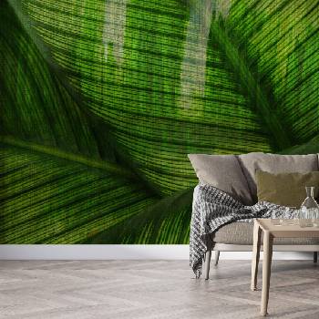 Image 1 of Decono Фототапет Листа В Зелено