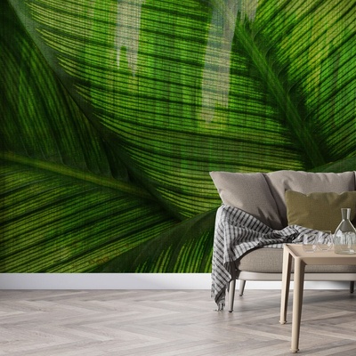 Decono Фототапет Листа В Зелено