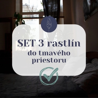 SET 3 rastlín do tmavého priestoru