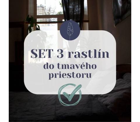 SET 3 rastlín do tmavého priestoru