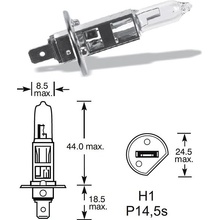 Lucas LL448 H1P14,5s 12V 55W