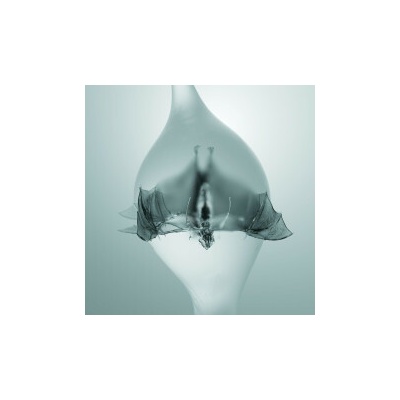 Unprocessed - Angel CD