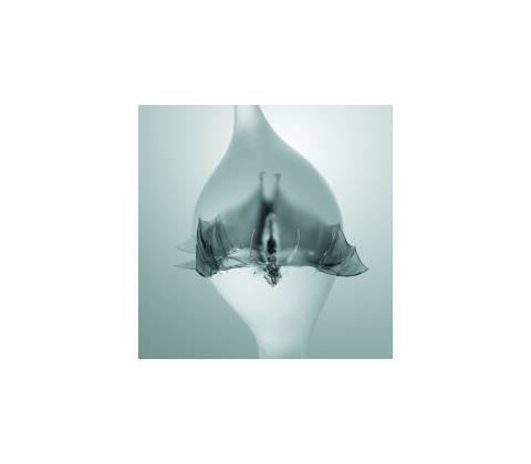Unprocessed - Angel CD