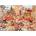 Anatolian - Puzzle Japanese Garden - 3 000 piese