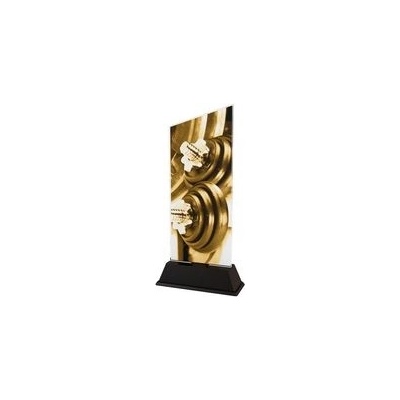 Poháry Bauer Akrylátová trofej CAS0177 Vzpírání